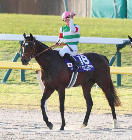 【ジャパンC】タスティエーラは直線で失速し7着　レーン騎手「もう一度盛り返して頑張ってくれました」