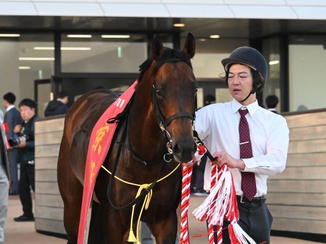 【京阪杯レース後コメント】エーティーマクフィ富田暁騎手ら