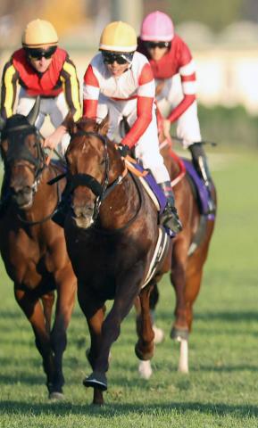 【ジャパンC】国内復帰戦のダノンデサイルは3着　戸崎圭太騎手は初Vならず「最後は力みが影響した」