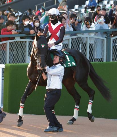 【京阪杯】「一番強い競馬」はメンバー唯一のG1馬ルガル　直線先に抜け出して2着　西村淳也騎手は称賛
