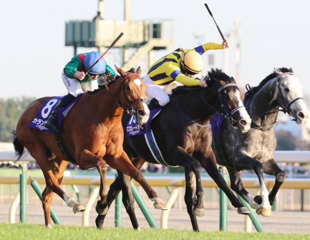 【ジャパンC】1番人気3歳マスカレードボールは惜しくも2着　ルメール騎手「反応が遅かったです」