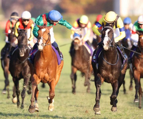 【ジャパンC】売り上げは対前年比107.5%　東京競馬場の入場者は微減