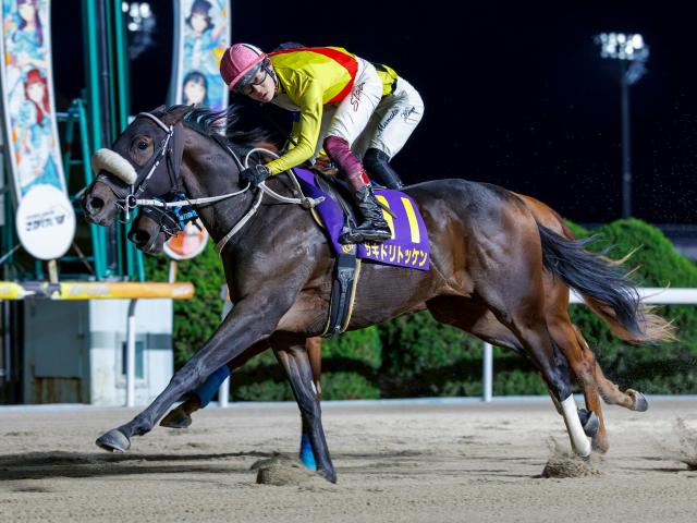 ں졦եޥϥȾ޷̡ۥɥȥå͵˱ž4Ϣ