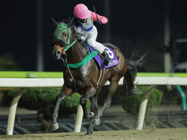 ڿ̾ŵ̡ۥȥåץåɤƨڤϢã