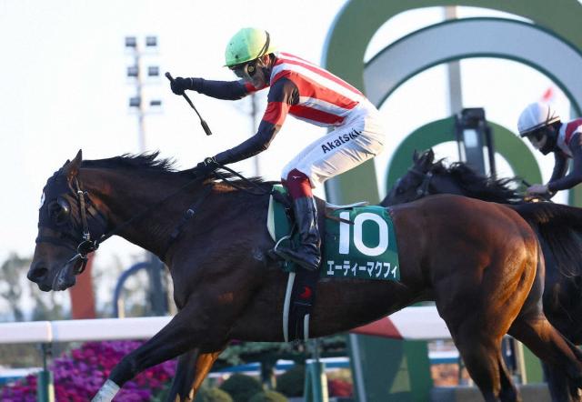 【京阪杯】エーティーマクフィ豪快差し切り　6歳遅咲き重賞初V　富田「みんなで喜びたい」