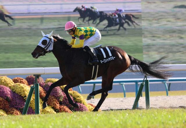 【白菊賞】マーゴットラヴミー連勝　3馬身差圧逃　菱田「凄いスピード」