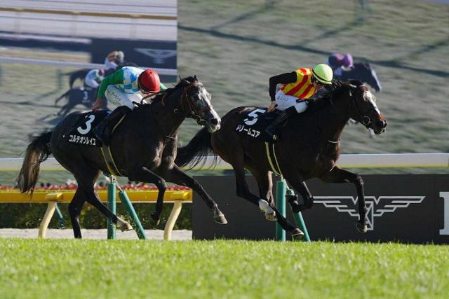 【ベゴニア賞】ドリームコア　追い比べ頭差制す!　レーン手応え「ポテンシャルがある」