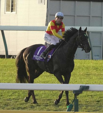 ڥѥCۥ㥹ƥѥ쥹֤ȤӤ5塡Cǥࡼ֤Ϥʤ˴ĥä