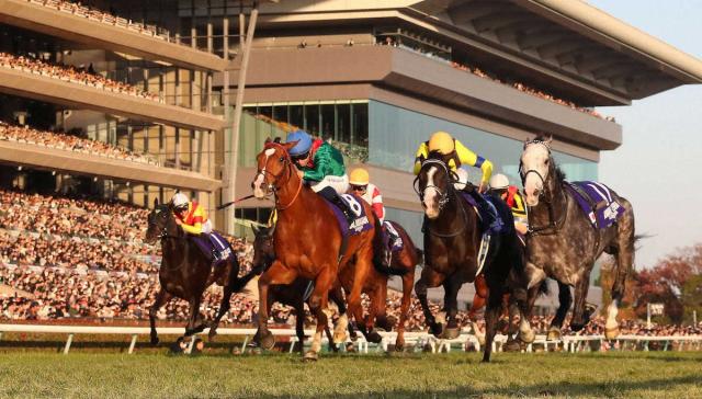 ڥѥCۥ󡡳20ǯ֤ĺ쥳2ʬ203ǡȺǶϡɤμϾ