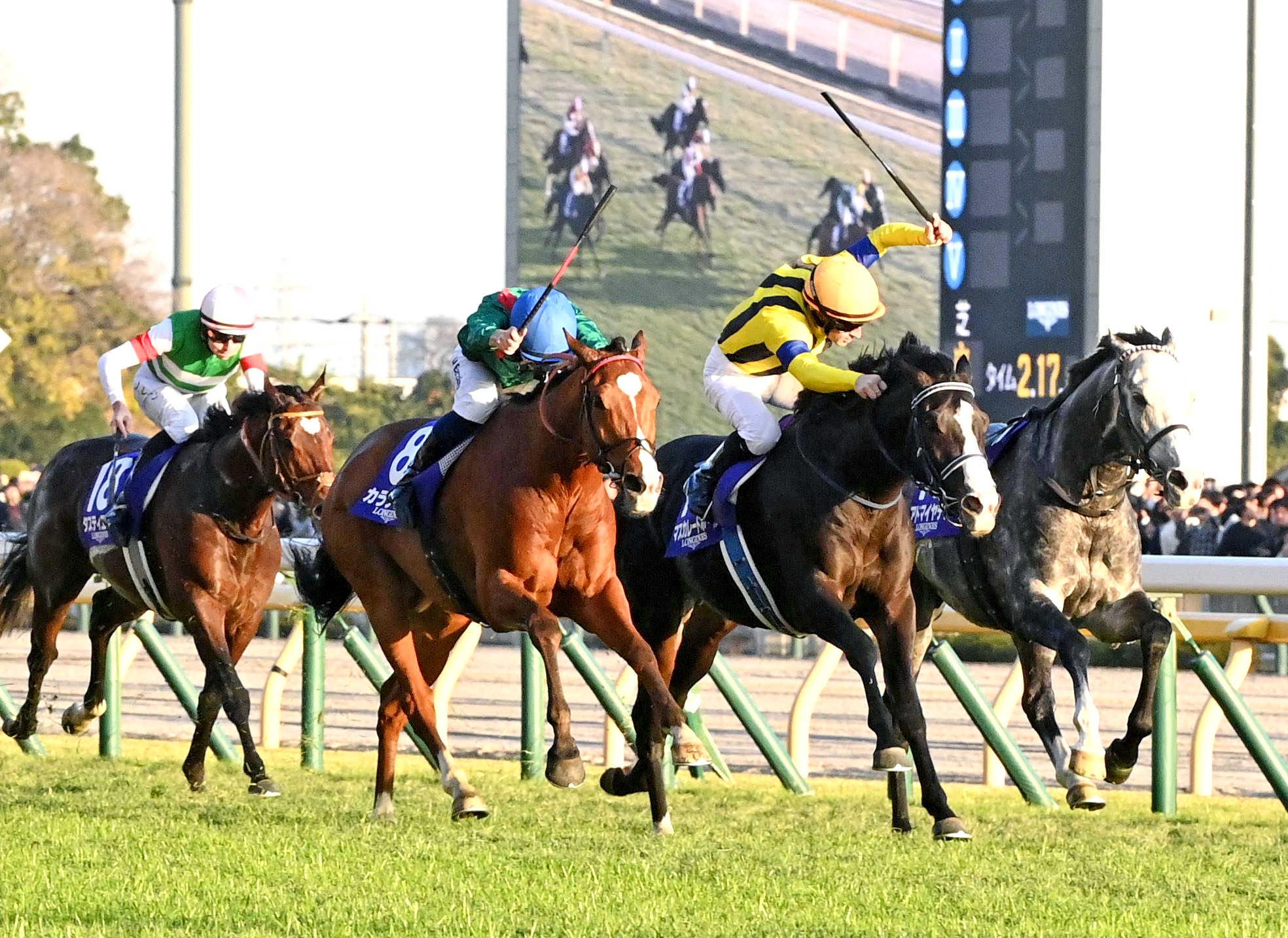 【ジャパンＣ】マスカレードボール　悔しい銀　一騎打ち頭差で敗れた　手塚久師「上には上がいるんだな」