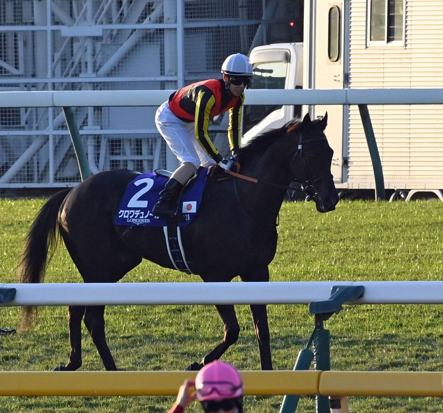 【ジャパンＣ】クロワデュノール　力を示す４着　差し馬有利の展開で０秒６差　斉藤崇師「また来年です」