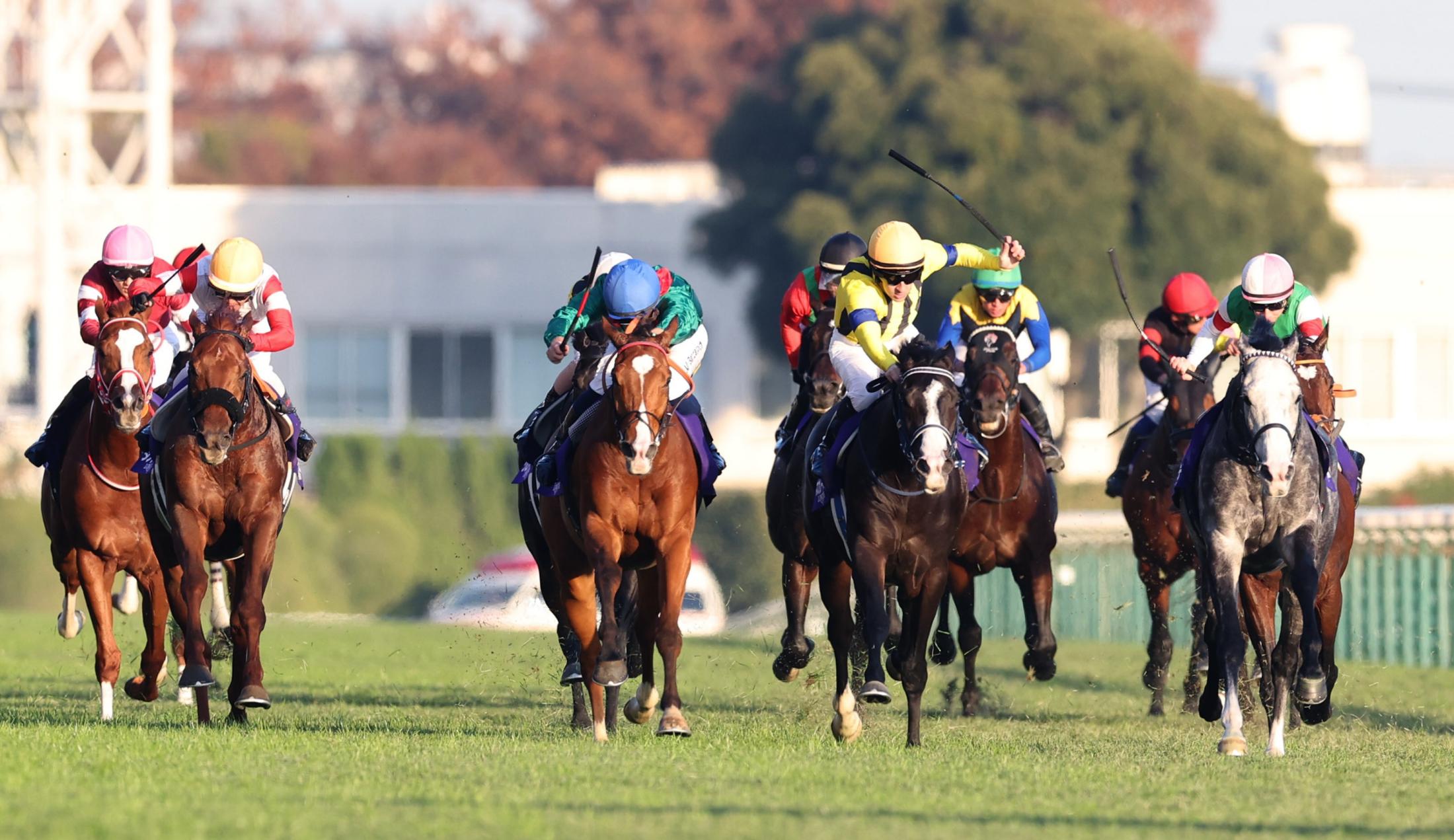 【ジャパンＣ】ダノンデサイル　復権ならず３着　安田師「しっかりケアします」ゴール後に戸崎圭は落馬　
