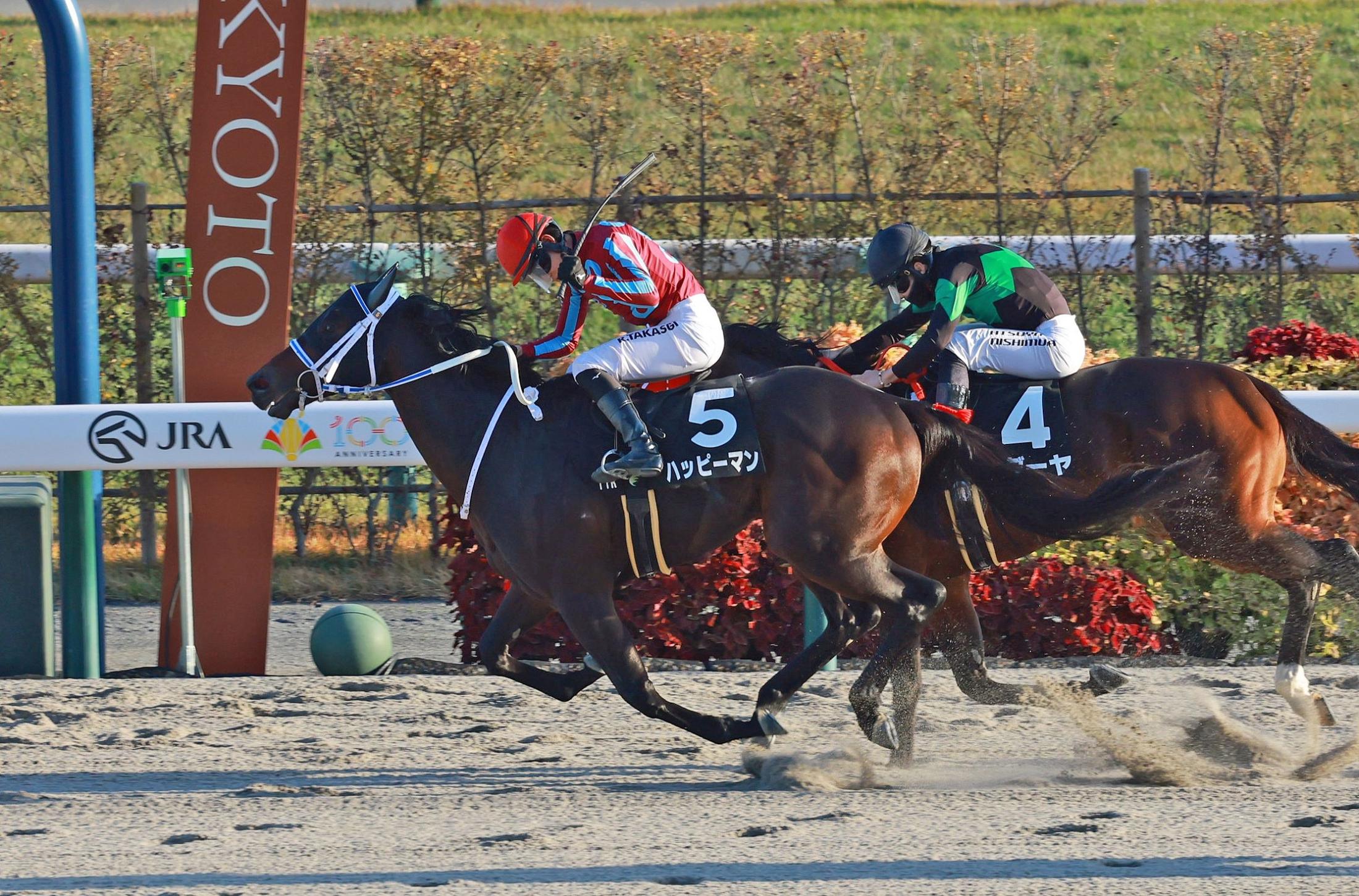 【オータムリーフＳ】ハッピーマン　波乱演出の１年ぶり勝利　高杉「流れが向いてくれました」