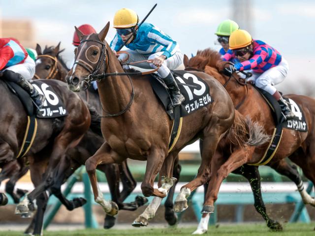 ڥƥ䡼Sɤۥߥ뤬ž޽Ƥ