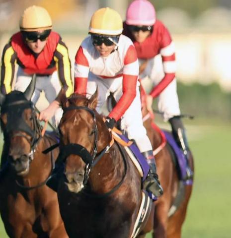 ѥCϤͺ귽ϥλ­ǡεϡֲ̤׸SNSȯɽ