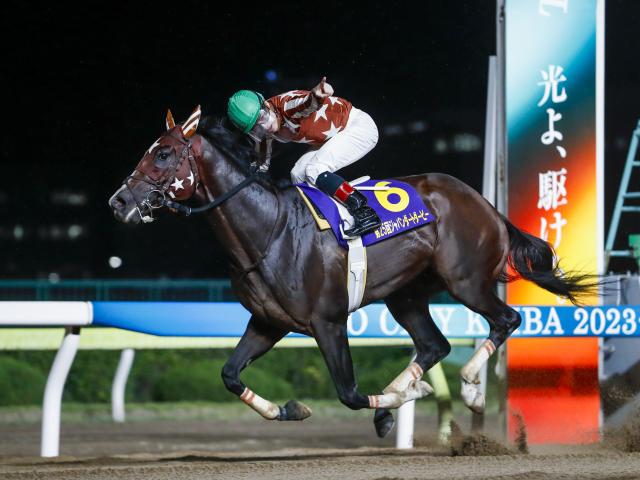 桦粦Ƚ컰ϥߥåե33