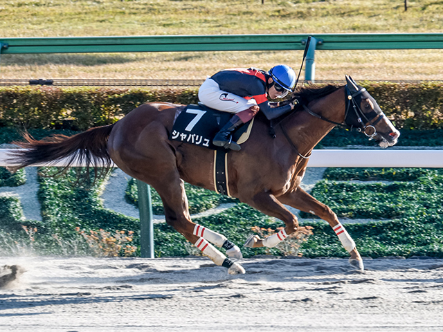 ڥץޥ졼女ȡۥѥ廰