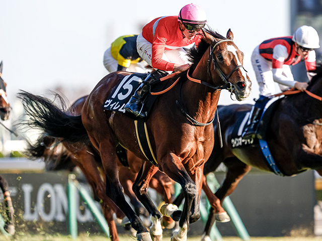 ڥ륫S졼女ȡۥ T.ޡɵ