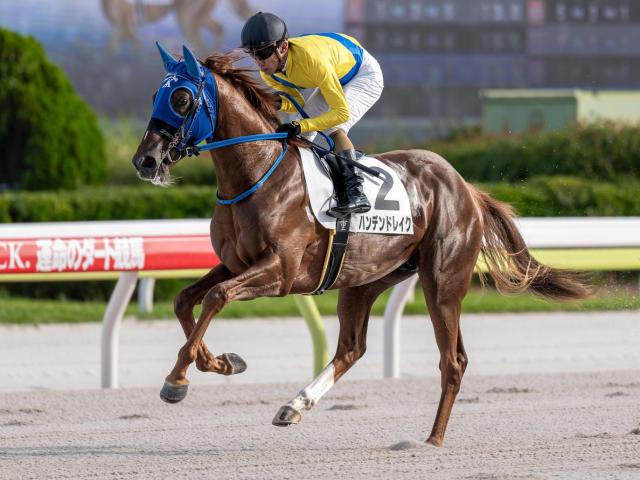 桦ॹȡȽ۽ž2Υϥǥɥ쥤815