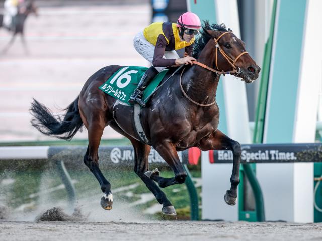 ڥԥC굳ۥ륯륫եϥ롼ꡢ֥ϡȥܥɤϺ