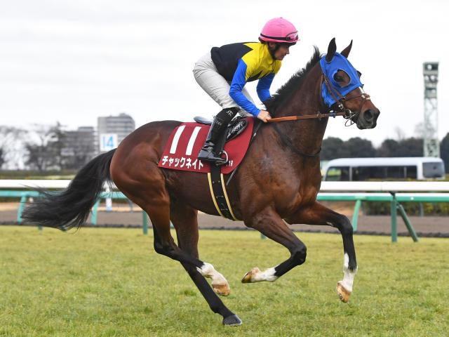 ڥƥ䡼S굳ۥåͥȤϺ嵳ꡢߥϻٵ