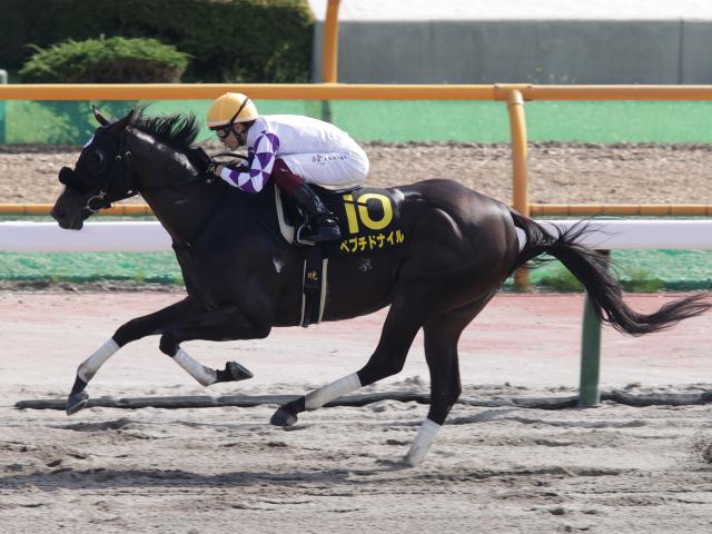 AIͽۡԥCͥ줿Ϥ̥Ϥ̿䡪 ǯη󥹤Ͻʬ