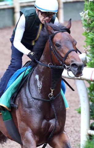 ǰդΥǥӥåȥХ뽵Ͼư¼Ĵաֺ󤬰֤