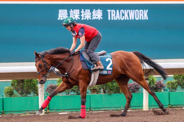 ڹۺǯ2ɥХʡ23ǯQES24ǯʩ󥯥롼ޤʤG14