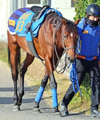 ڥƥ䡼Sۥߥʥ󥹤ޥ饽졼ظƾ徺轵ϥɥåĥ˸߳Ѱʾư