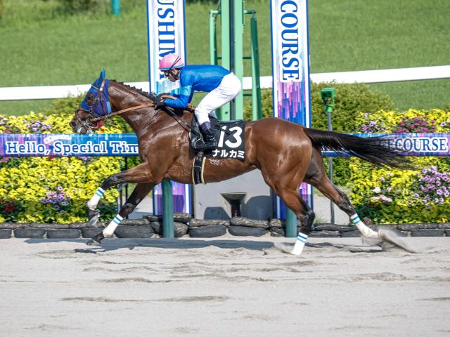 ڥԥCŸ˾3ϥʥ륫ߤ𤲤