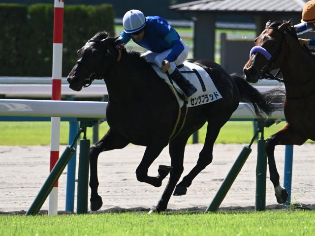 ǰŸ˾ͣ3ϥĥ֥åɤž޽Ƥ