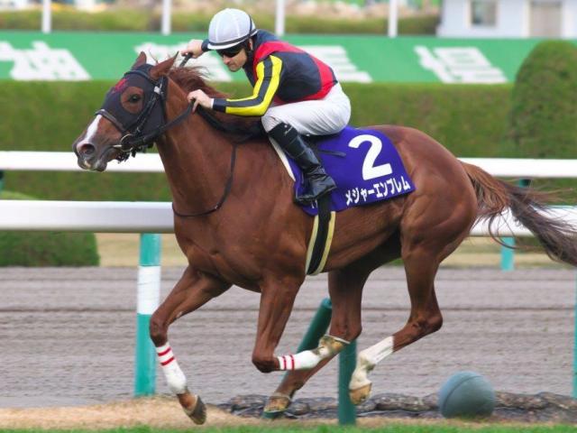 15ǯκJFϥ᥸㡼֥ब(15ǯ12ơ桼󶡡⤵)