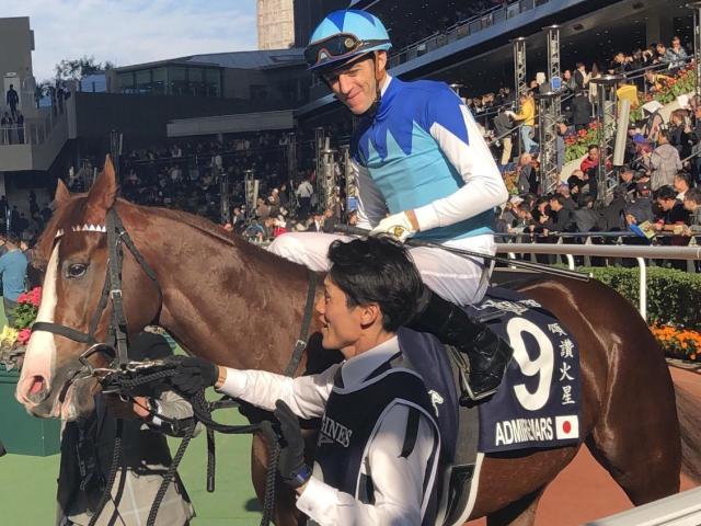 19ǯιޥϥɥޥޡ(19ǯ12ơ桼󶡡ꤿ)