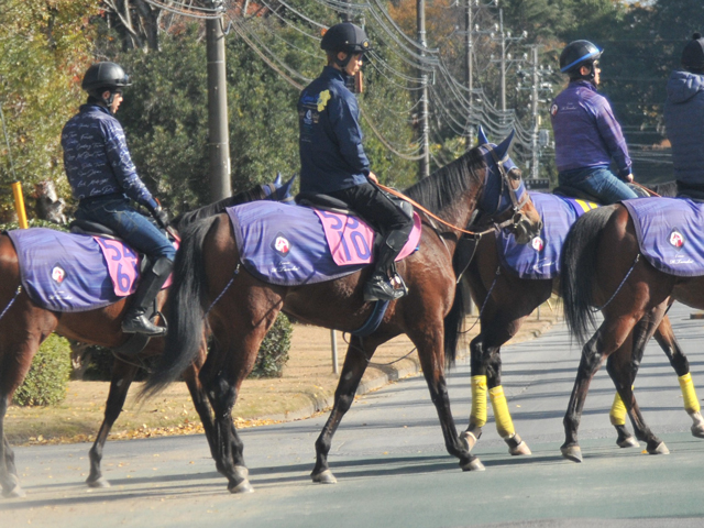 Ȥ˥ͥޥ ꥨ󥯡˥ǽ/ϥᥤǥӥ塼