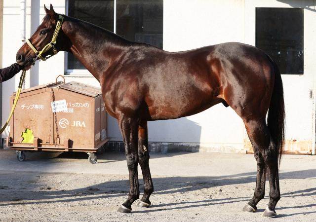 ڥԥCۥ륽ƥ95̤³Ƥ