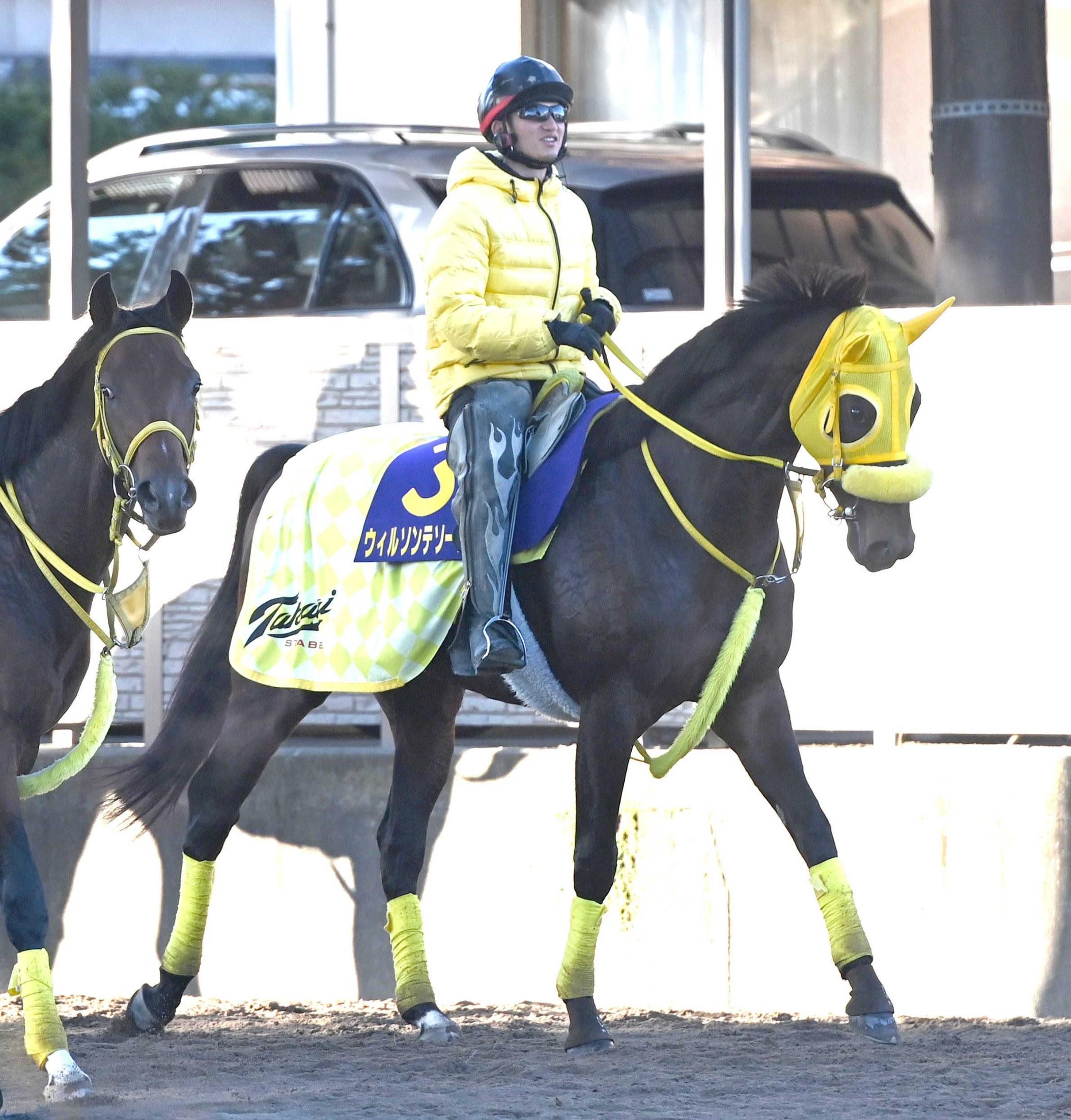 ڥԥ󥺣áۥ륽ƥܤľκءǯǯϤȤˣ