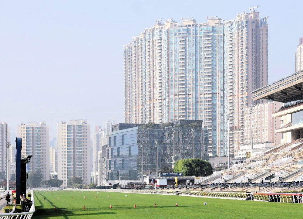 ڹݶۥ٥饸ڥϻž夬꽽ʬɥǥ쥤ϼʬȤ˹ǽɤڤꡡ