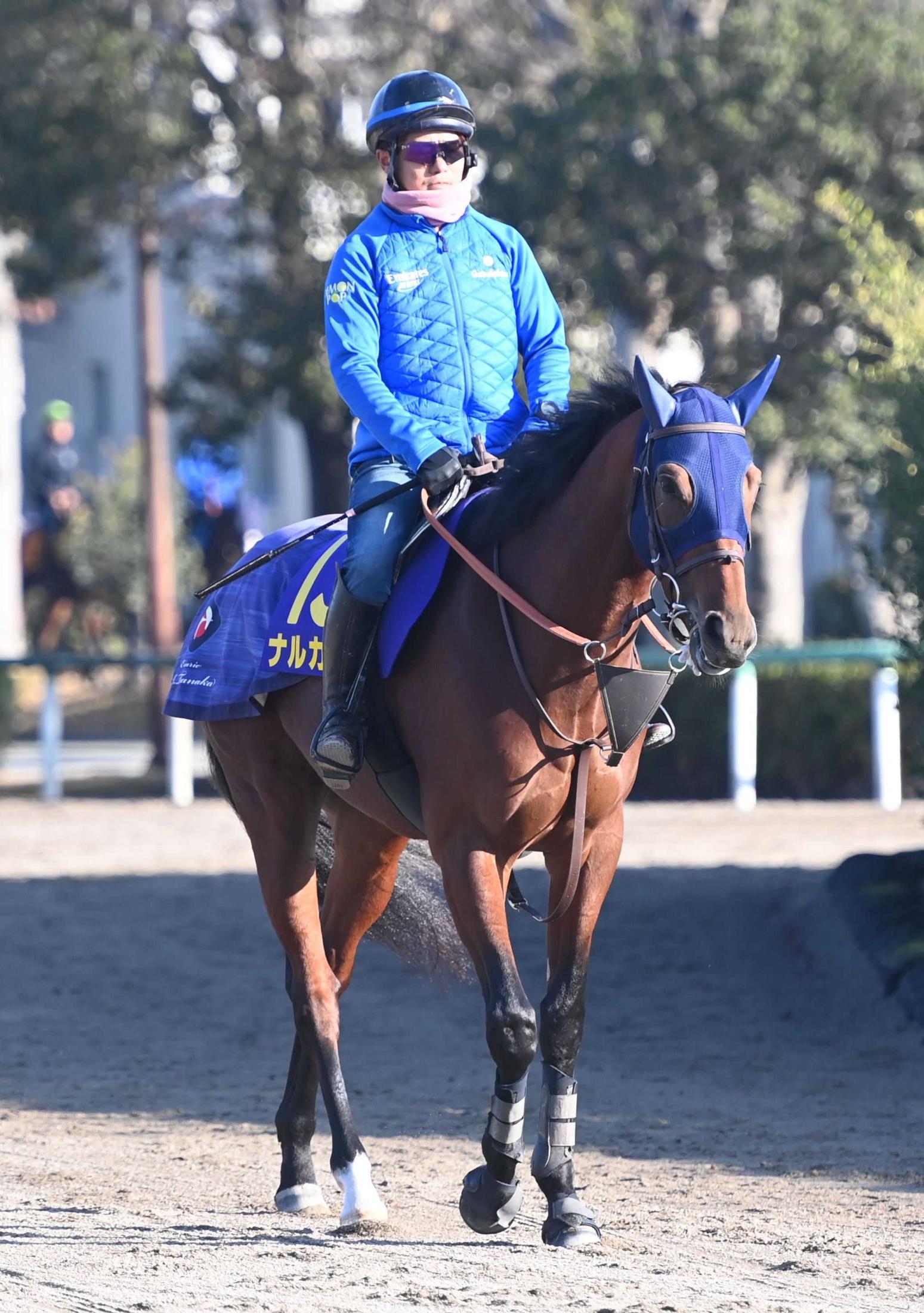 ڥԥ󥺣áۥʥ륫ߡǥӥ塼飶Τޤ޸ϤˤաּʬΥꥺС