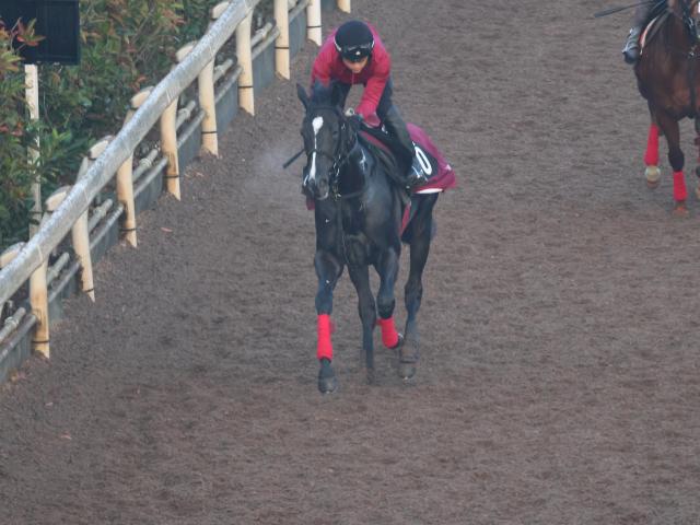 ХɥʡȤʤɡ轵/ȥ쥻˥塼