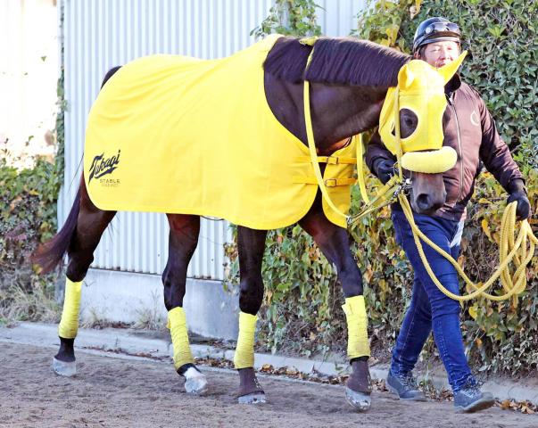 【チャンピオンズC】2年続けて2着のウィルソンテソーロ　砂が深い前走は力を発揮できず　得意舞台で悲願を