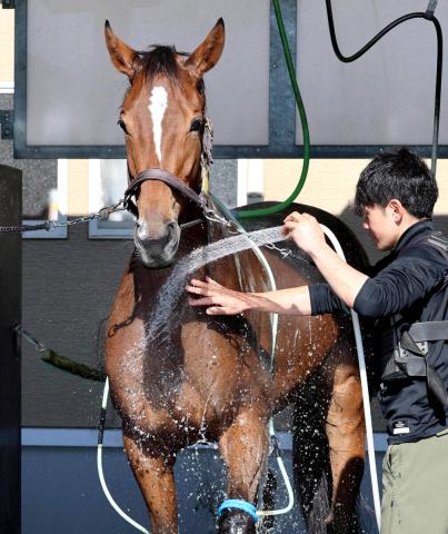 ڥƥ䡼Sۥϥ٥魯ۡ꡼ȡĴաֲȤžޤ򾡤ʤȤʤ