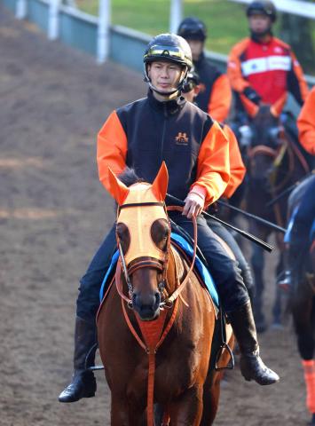 ǰɷ쥪ʥåȤ褤ǽ֡ĴաG3­ʤǺ