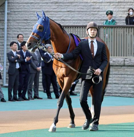 23ǯλϥ륪ꥨ󥹤ࡢﲴꡡ極֥åɥȯɽ