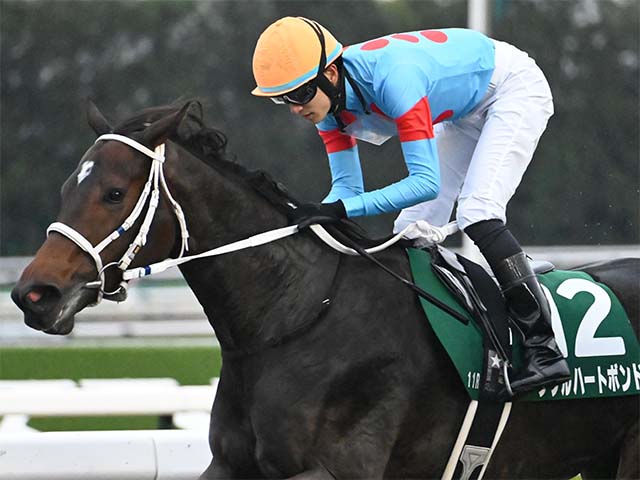 【チャンピオンズC】坂井瑠星騎手がレース史上初の3連覇へ みやこS覇者のダブルハートボンドで参戦