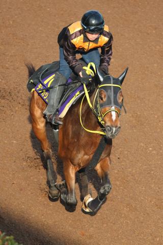 ڥԥC12ʣΨ100%Υƥ󥫥祦G1ĩⲬĴաִԤƽФޤ