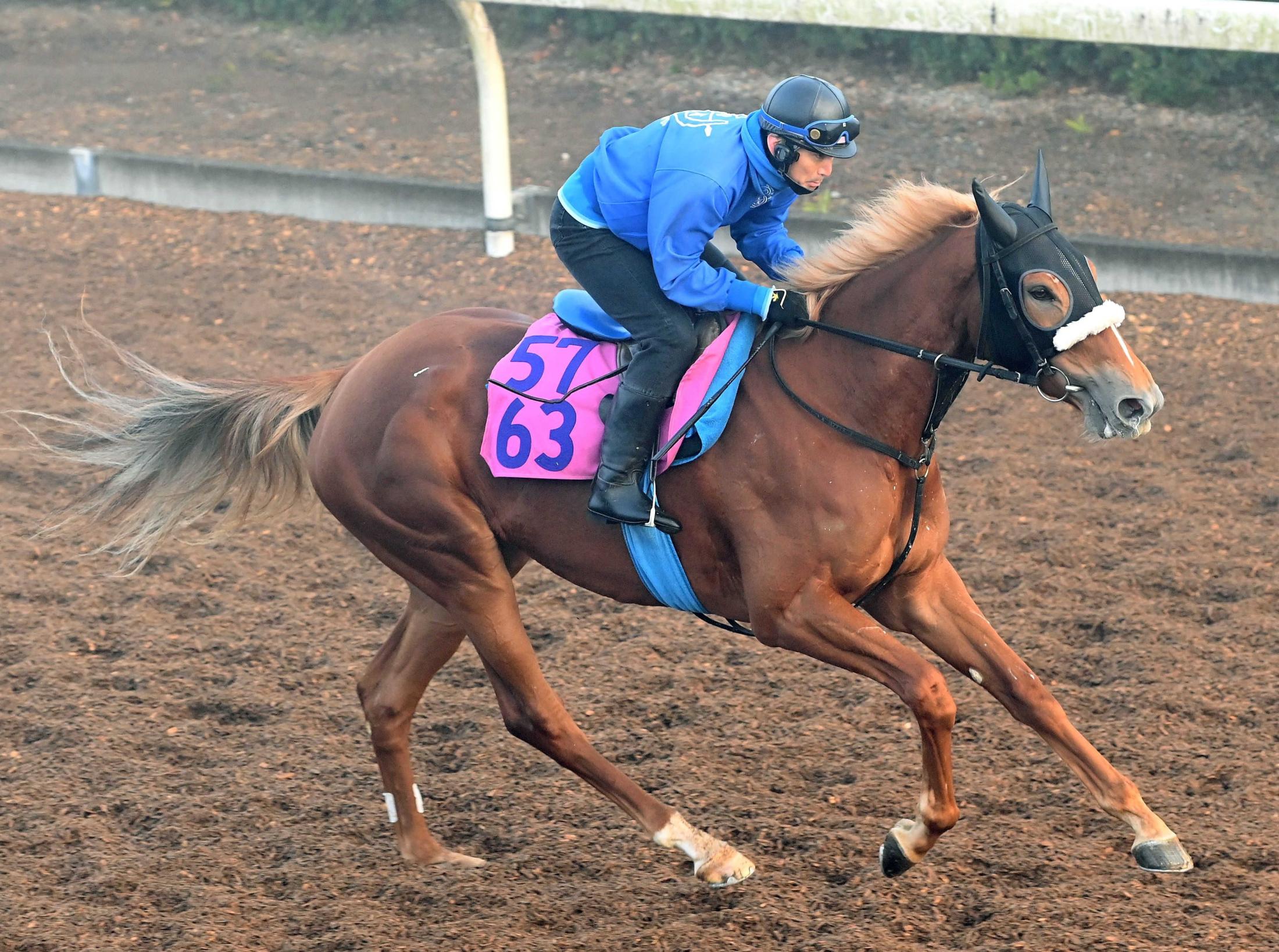 ڿۥե쥹Ƥ˥ڥ롼޻մԤΥ֥åɥ륿뻺ĹӤȤ륿ס