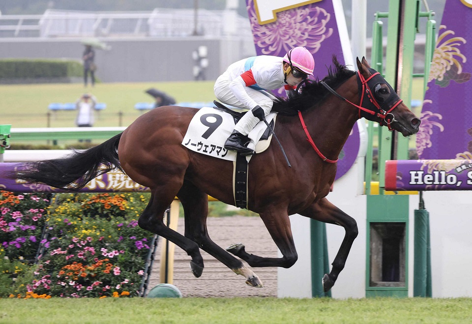 ΡޥϥۡץեӤء֥륹ϣ滳Ҥǥǥӥ塼ͽ