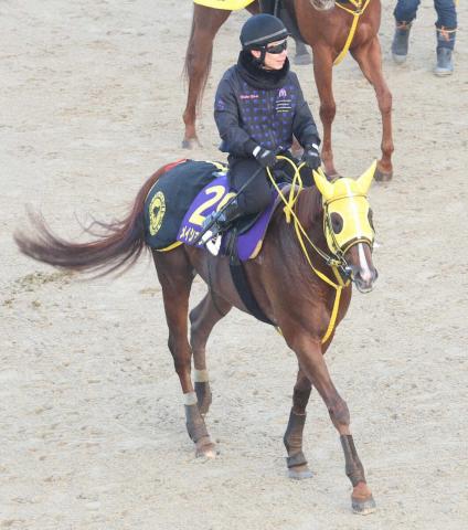 ᥤ祦ϥꥪԥC饹ȥȤưࡢﲴꡡĻաְΤϤȻפޤ