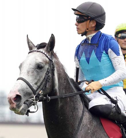 ư3&ϡۥɥޥƥľȤΥӷ³ͭϵǰ | ľե륵