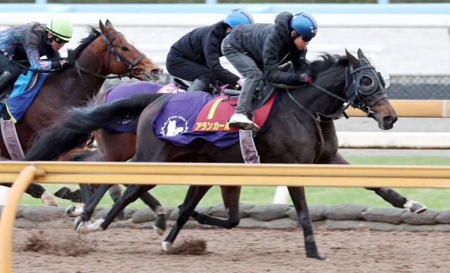 ںJF1̵2ϢΥ󥫡ȴοӡ¼ͧ쵳ֵ٤򴶤ʤưǤ